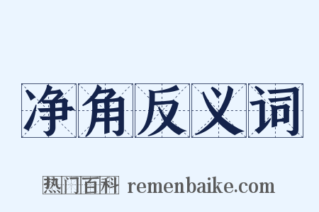 净角反义词是什么意思的图片